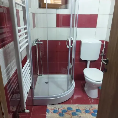 Vila Ioana Hotel Slanic Moldova